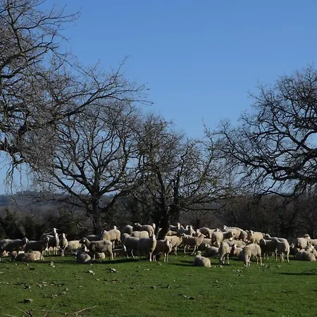 Agriturismo Bio Aia Della Colonna